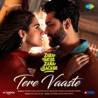 Tere Vaaste-cover