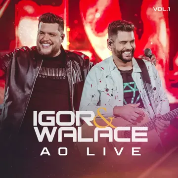 Pessoinha (Ao Vivo)-cover