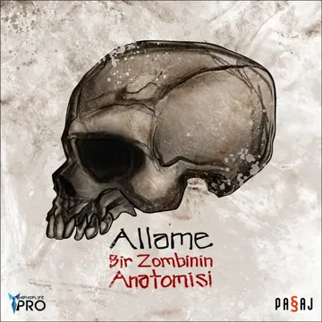Yoluna Devam Et-cover