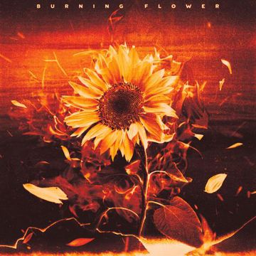 Burning Flower-cover