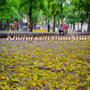 Huế tình yêu của tôi-cover