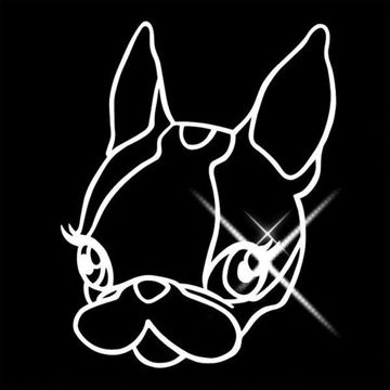 L'ATTITUDINE E L'ISTINTO-cover