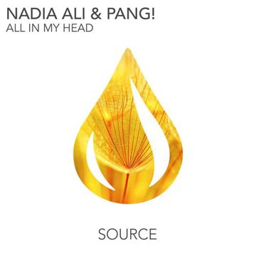 All In My Head (Radio Edit)