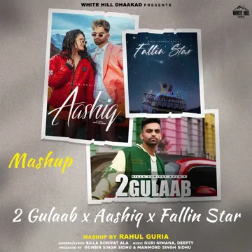 2 Gulaab x Aashiq x Fallin Star (Mashup)-cover