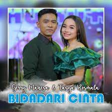 Bidadari Cinta