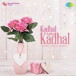Kadhal Sadugudu (From &quot;Alaipayuthey&quot;)-cover
