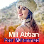 Mastay mabobay mazegar da shal de Pa sar da-cover