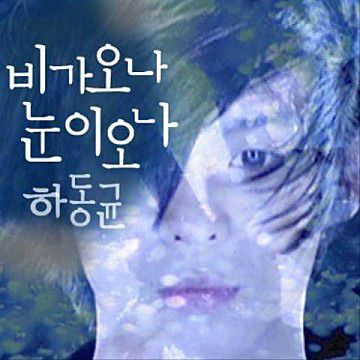 비가오나눈이오나-cover