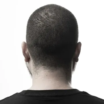 Días de Perros-cover