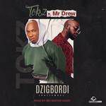 Dzigbordi-cover