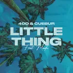 Little Thing-cover