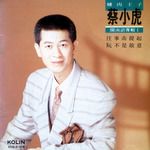 往事甭提起-cover