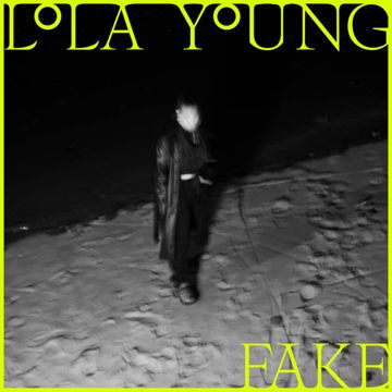 FAKE-cover