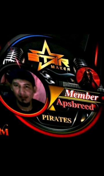 youre-my-everything-aps-breed-cover-track-duet-youre-my-everything-aps-breed-cover-track-duet-cover-image