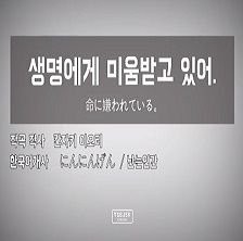생명에게 미움받고 있어-cover