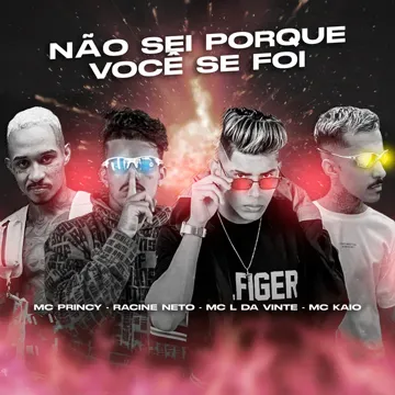 Não Sei Porque Você Se Foi-cover