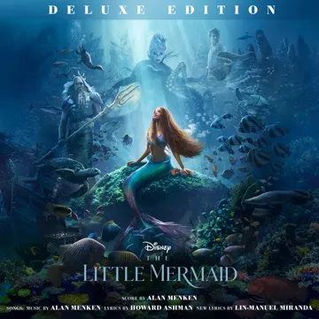 The Scuttlebutt-cover