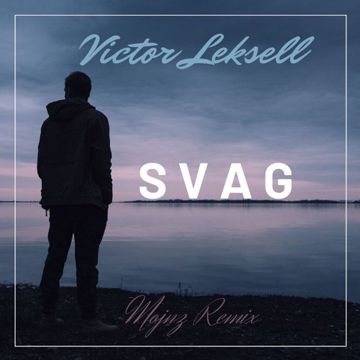 SVAG-cover