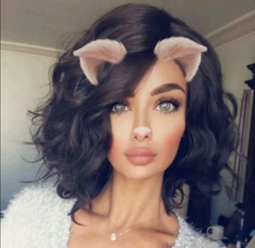 fofo616--cover-image