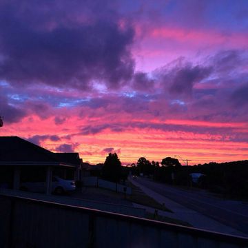 coveImg
