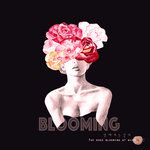 청춘의 밤-cover