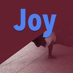 Joy-cover