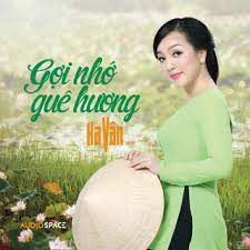 Tân cổ: Nghe Vọng Cổ Nhớ Quê Hương-cover