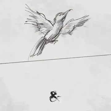 Obsolete-cover