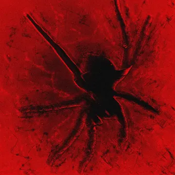 Blood Pump-cover