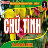 Chữ tình - Hồ quảng Quân Vương và Thiếp-cover