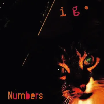 Number 2: Glomerulonephritis