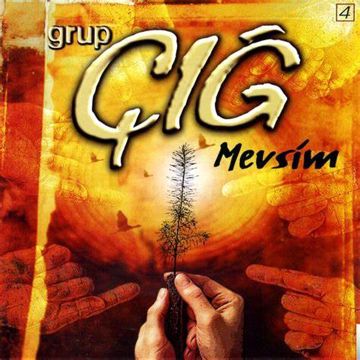 Enstrumantal-cover
