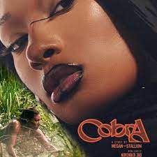 Cobra-cover