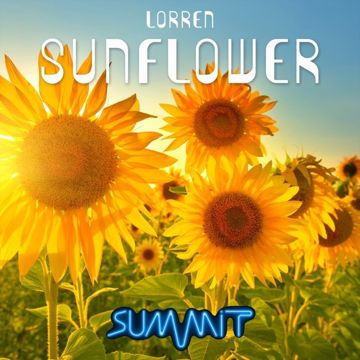 Sunflower-cover