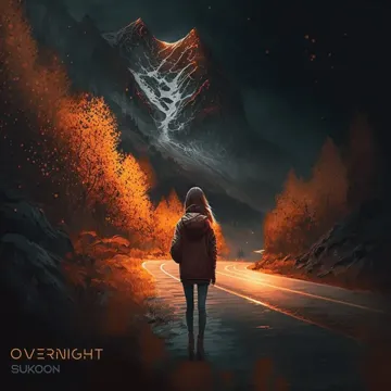 Overnight-cover