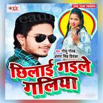 Galiya Chhilai Re Gaile Na-cover