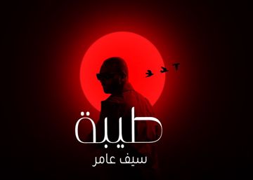 طيبة...سيف عامر