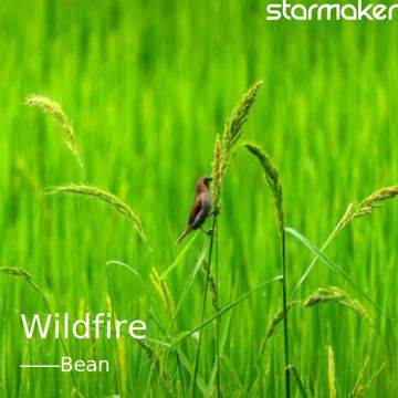 Wildfire-cover