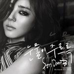 눈물이 주르륵-cover