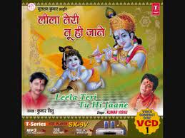 Teri Maya Ka Na Paya (Short ver)-cover