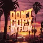 Don't Copy My Flow-cover