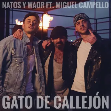 Gato de callejón (feat. Miguel Campello)-cover