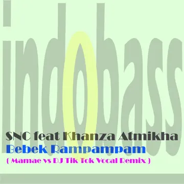 Bebek Rampampam (Mamae vs DJ Tik Tok Vocal Remix)-cover