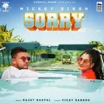 Sorry-cover