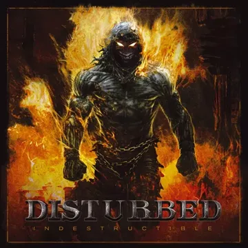 Indestructible-cover