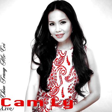 Chim Trắng Mồ Côi-cover