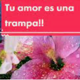 Tu amor es una Trampa-cover
