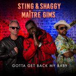 Gotta Get Back My Baby(Maitre Gims Version)-cover
