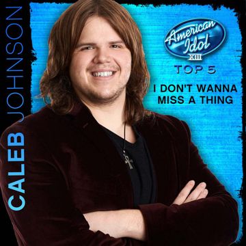 I Don't Wanna Miss a Thing-cover