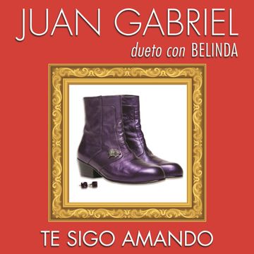 Te Sigo Amando-cover